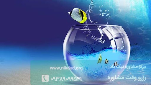 درمان درون گرایی با خروج از منطقه امن